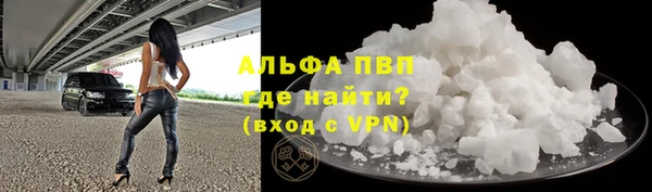 ECSTASY Алзамай