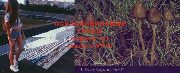 спиды Алексеевка