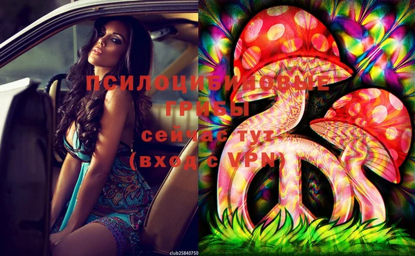 ECSTASY Алзамай