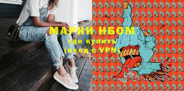 стаф Аркадак