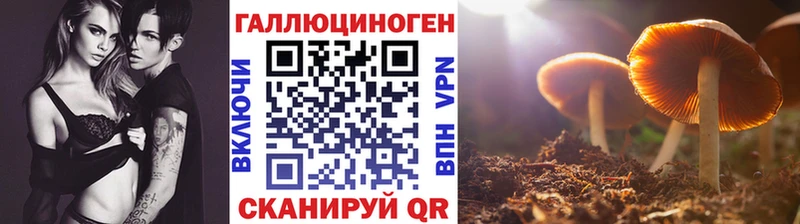 Галлюциногенные грибы Psilocybe  МЕГА ссылка  Мытищи 